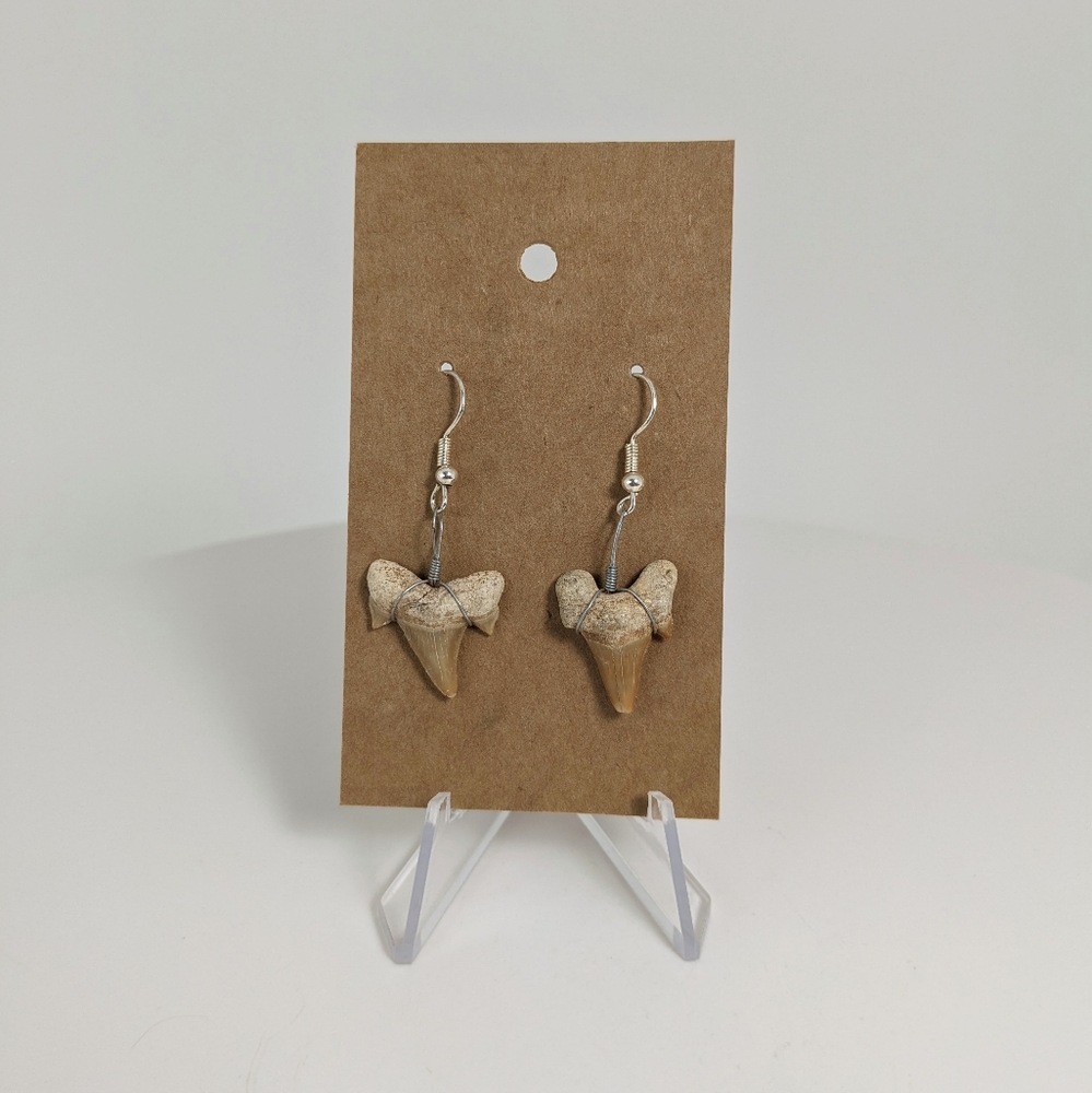 Shark tooth earrings, fossil, animal, gemstone jewelry